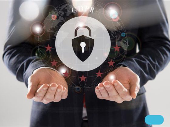 Data Privacy Program – Financial Organization